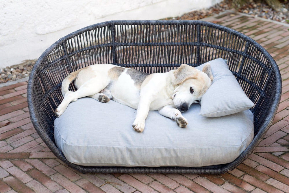 Entspannter Hund auf dem stilvollen gepolsterten Hundebett CHIC im Außenbereich, umgeben von einem geflochtenen Rahmen.
