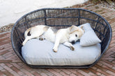 Entspannter Hund auf dem stilvollen gepolsterten Hundebett CHIC im Außenbereich, umgeben von einem geflochtenen Rahmen.