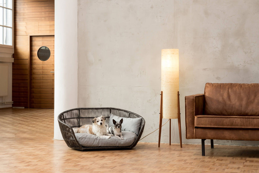 Zwei Hunde entspannen auf dem modernen PRADO Hundebett CHIC in einem stilvollen Wohnzimmer mit Holzfußboden.