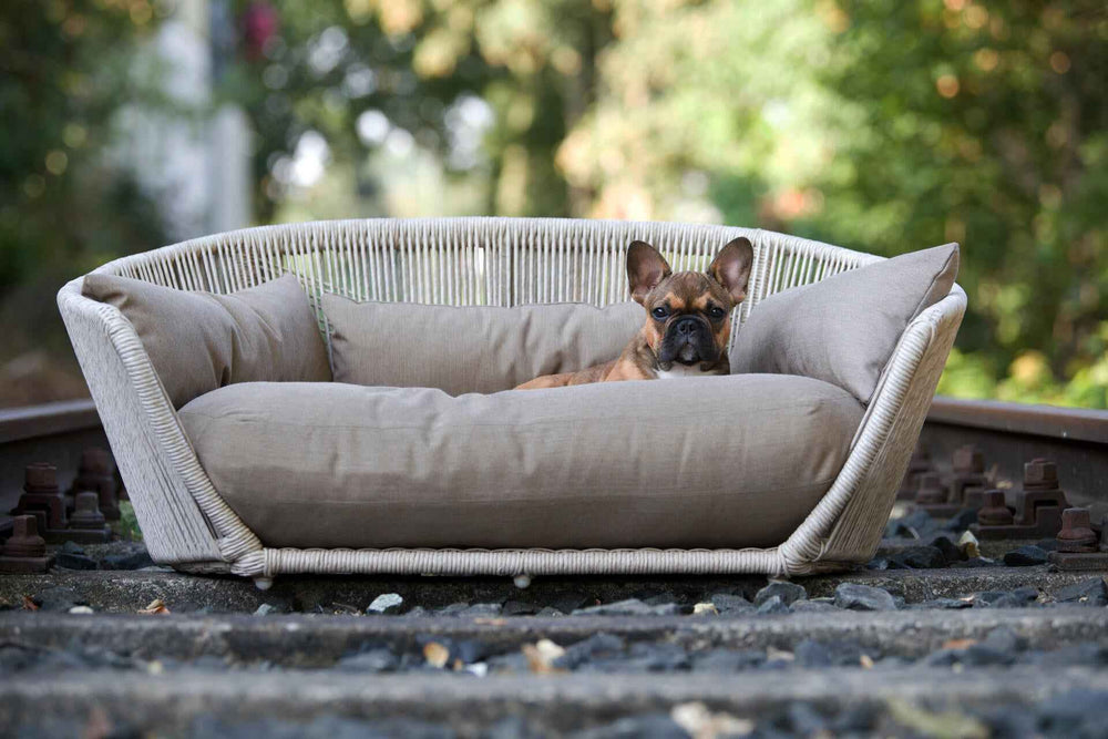 Stylisches hellbeiges VOGUE Design-Hundebett CHIC mit Kissen, in runder Form, umgeben von Kies und Vegetation.