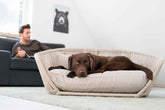 Brauner Hund relaxt auf dem eleganten VOGUE Design-Hundebett SMOOTH, während ein Mann im Hintergrund auf dem Sofa sitzt.