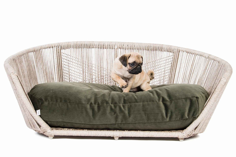 VOGUE Design-Hundebett OXFORD: ovaler Korbsessel mit grüner Liegefläche, ideal für kleine Hunde wie Mops.