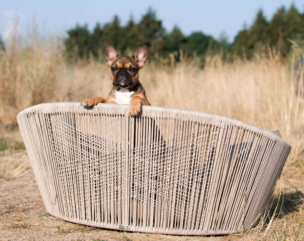 Französische Bulldogge entspannt in modernem, runden Korb in ländlicher Umgebung, stilvolles Hundebett OXFORD von VOGUE.