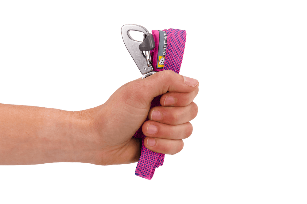 Hand, die eine pinke Hi Light™ Hundeleine mit Karabinerhaken hält, detailreiche texturierte Oberfläche.