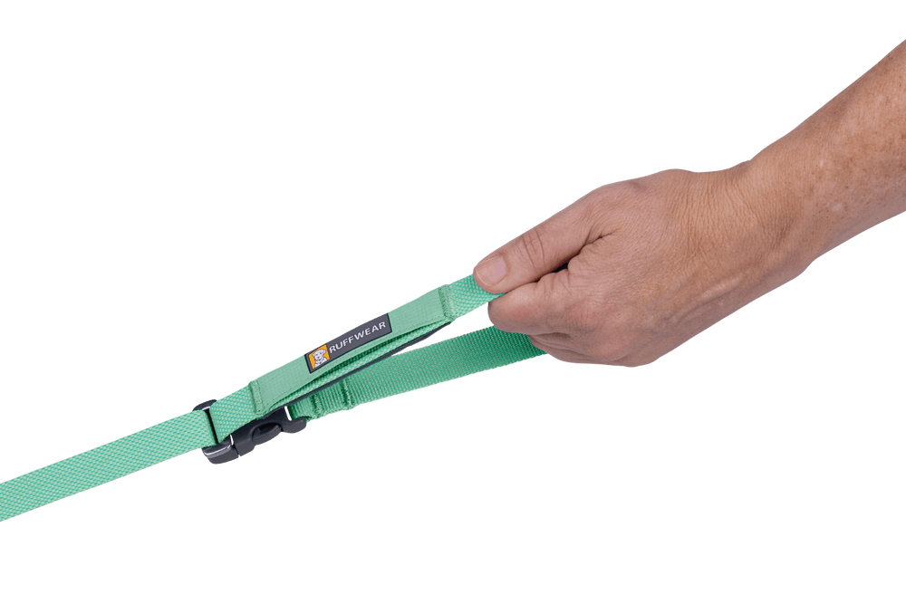 "Grüne Flagline™ Hundeleine mit stabilem Griff und verstellbarem Clip in sanftem Farbverlauf."
