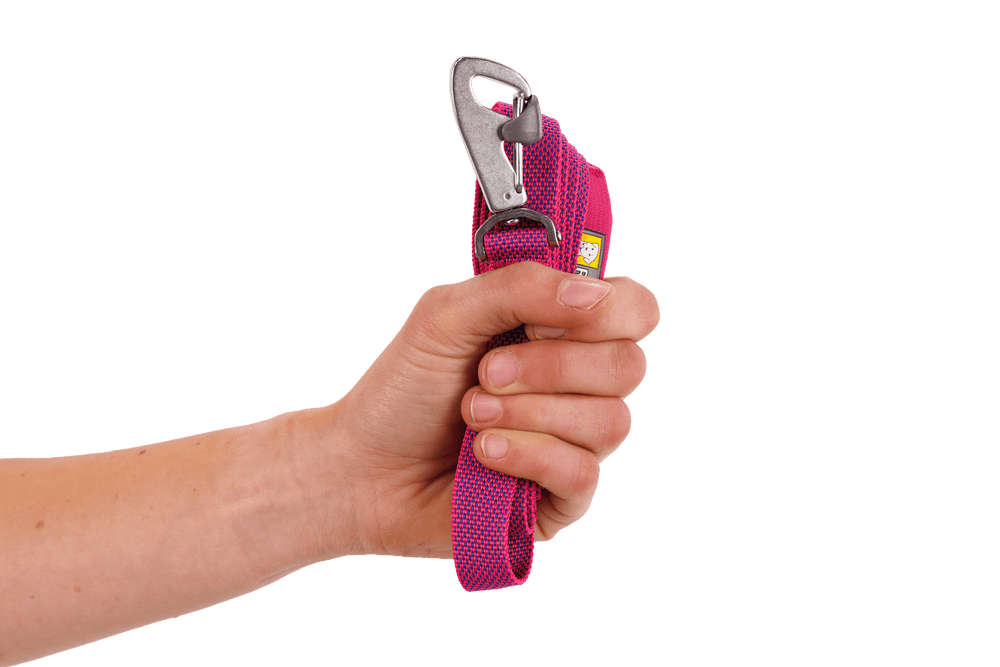 "Hand hält pinken Hundehalsbandclip mit metallischem Karabiner, strapazierfähig und rutschfest, auf hellem Hintergrund."