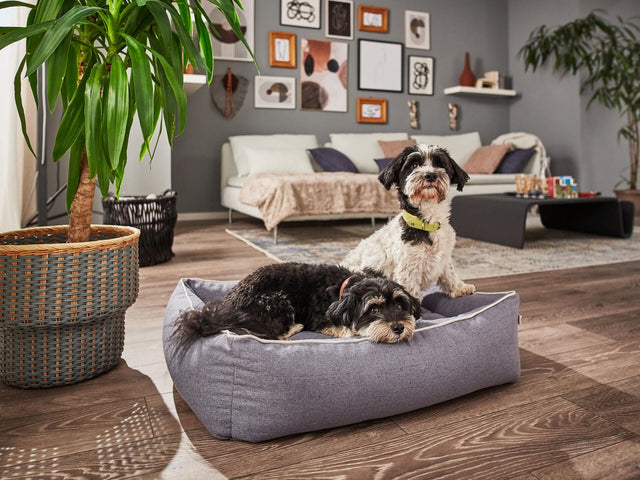 ORTHO Hundebett - VITO