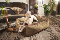 "CLASSIC Hundebett OXFORD mit hellbraunem Hund in modernem Wohnraum mit grauer Couch und grüner Decke."