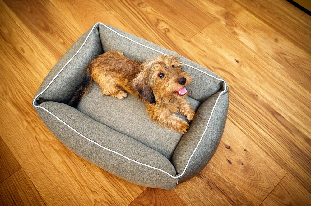 Kleiner brauner Hund liegt fröhlich in grauem ORTHO Hundebett UNO mit weicher Polsterung und weißer Naht.