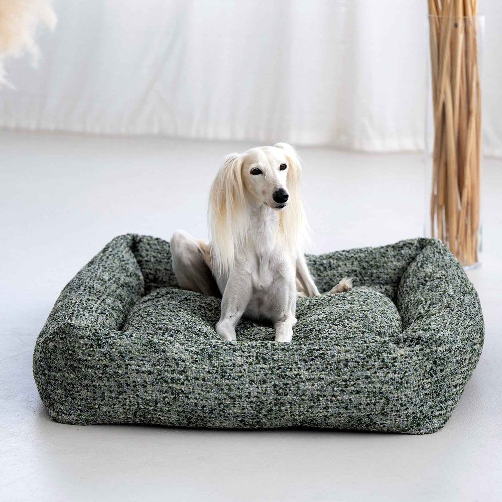 "Schlanker Hund auf grünem, gemustertem CLASSIC Hundebett SIENA, weich gepolstert für maximalen Komfort."