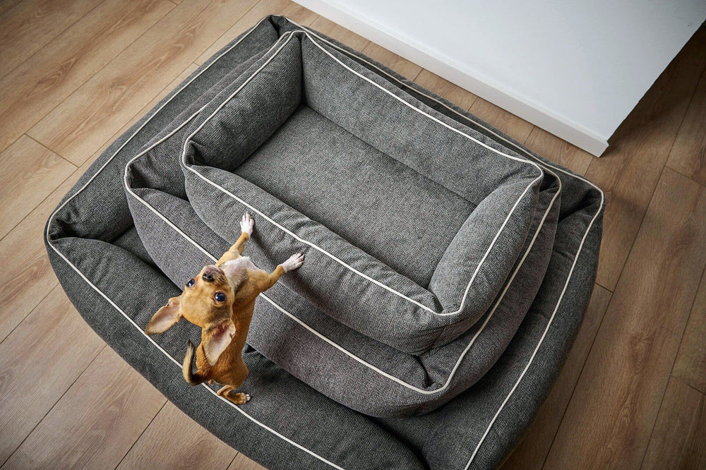 Stapelte graue ORTHO Hundebetten mit hellen Nähten, während ein kleiner Hund auf das oberste Bett springt.