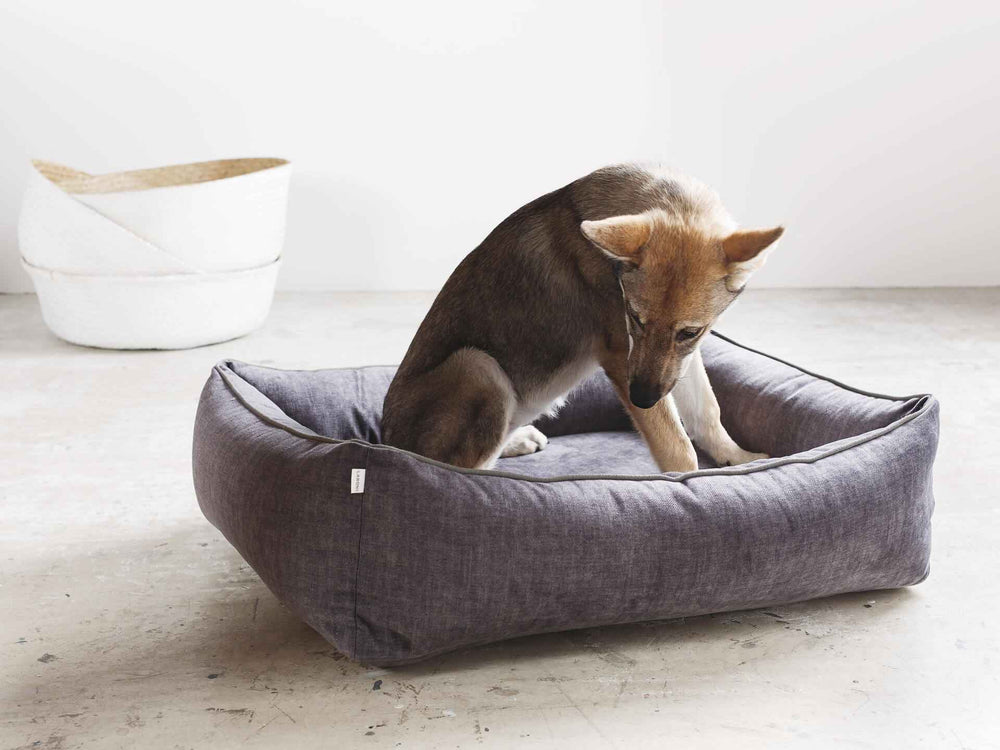 "Bequeme ORTHO Hundebett GLAM in Grau mit gepolsterter Form für entspannten Hundesitz und stilvollem Zuhause."
