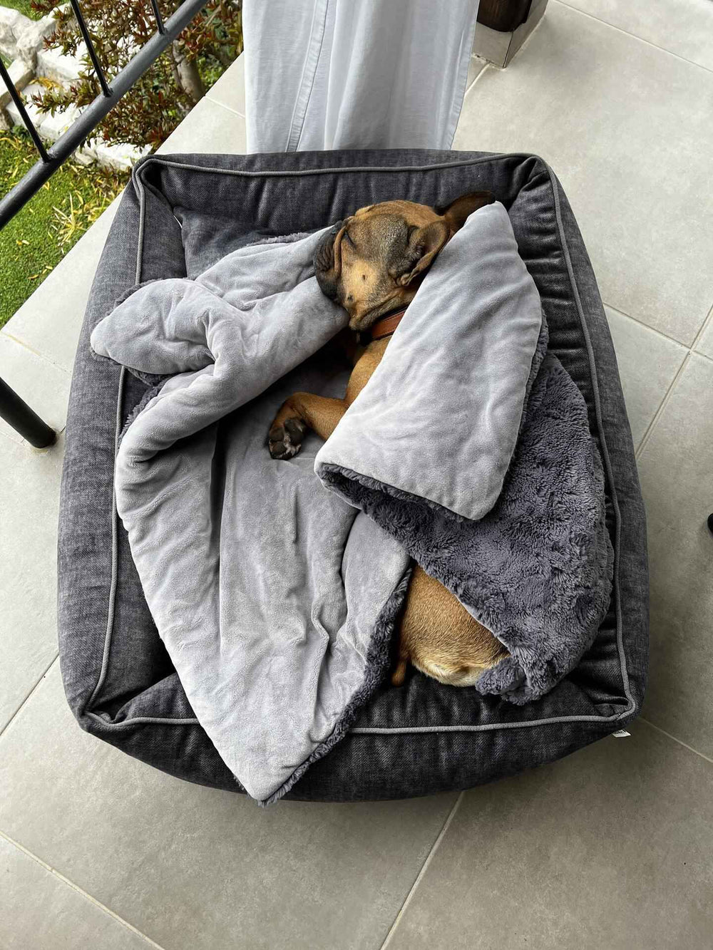 Hund liegt entspannt auf dem CLASSIC GLAM Hundebett, eingekuschelt in Decken, umgeben von einer hellen, freundlichen Umgebung.