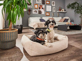 Gemütliches ORTHO Hundebett NOVA mit zwei kleinen Hunden im modernen Wohnzimmer mit Dekoration und Pflanzen.
