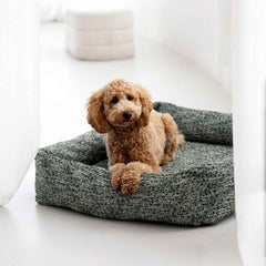 Entspannter Hund im graugrünen ORTHO Hundebett SIENA in heller Umgebung mit weißen Vorhängen.