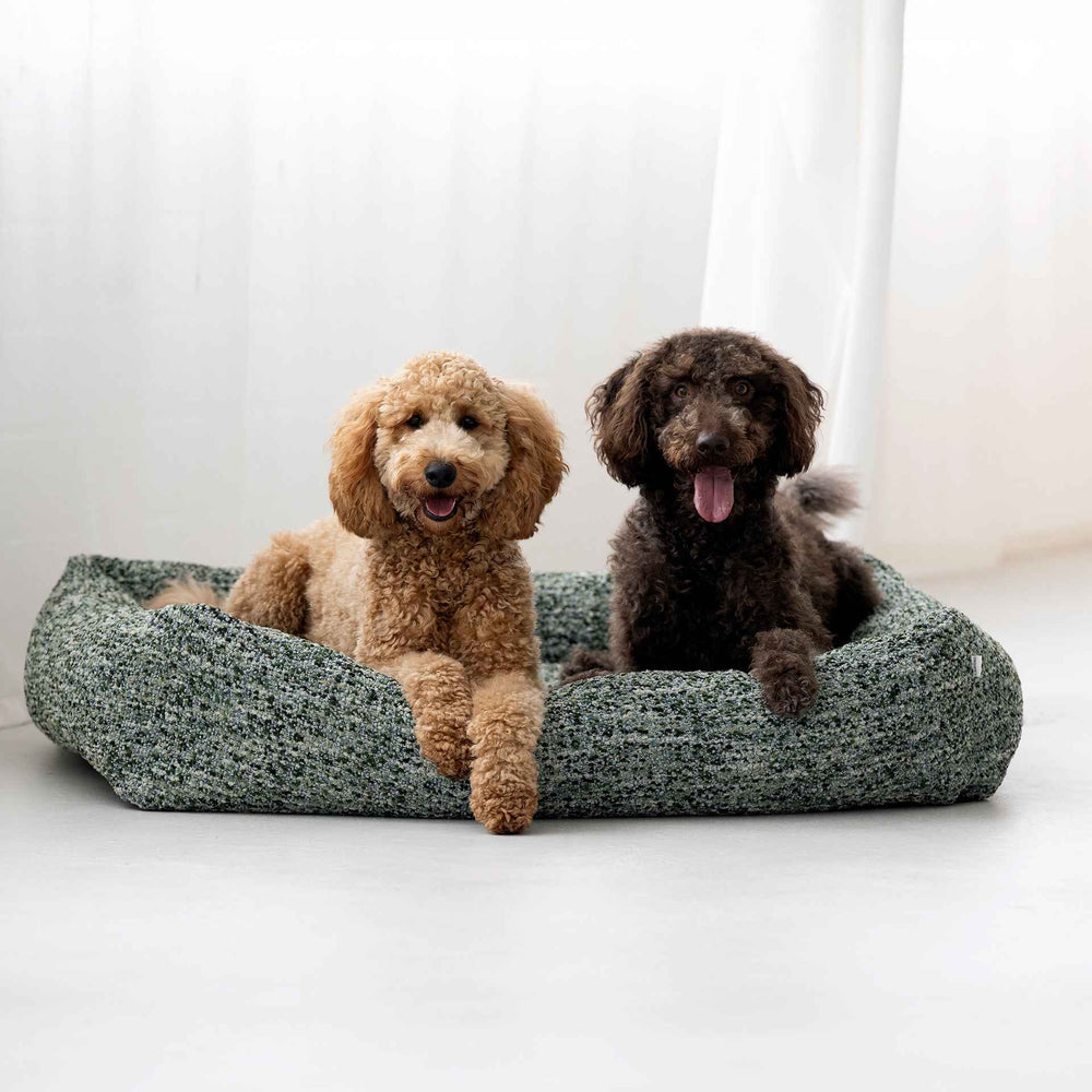 Gemütliches ORTHO Hundebett SIENA mit zwei freundlichen Hunden, die entspannt darin sitzen.