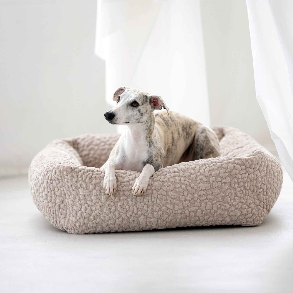 Gemütliches ORTHO Hundebett BELLAGIO mit entspanntem Hund in beiger, texturierter Box auf hellem Hintergrund.