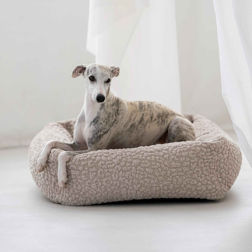 Beige ORTHO Hundebett BELLAGIO mit einem entspannten Hund im Vordergrund, perfekt für Komfort und Stil.