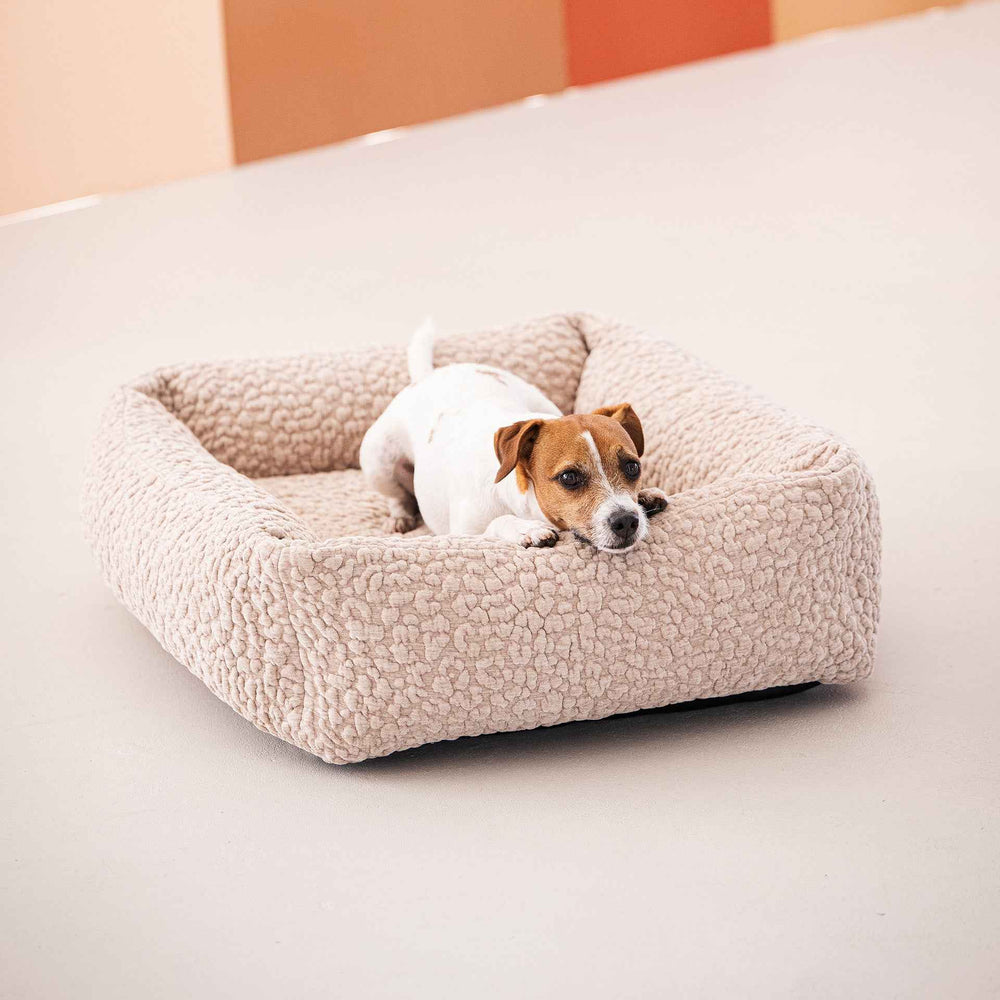 Kleiner weißer Hund mit braunen Flecken entspannt auf dem beigen ORTHO Hundebett BELLAGIO.