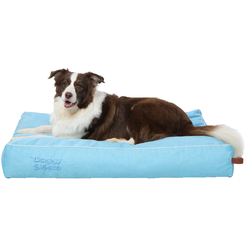 Entspannter Border Collie auf ovalem, hellblauem Hundebett mit weicher Polsterung.