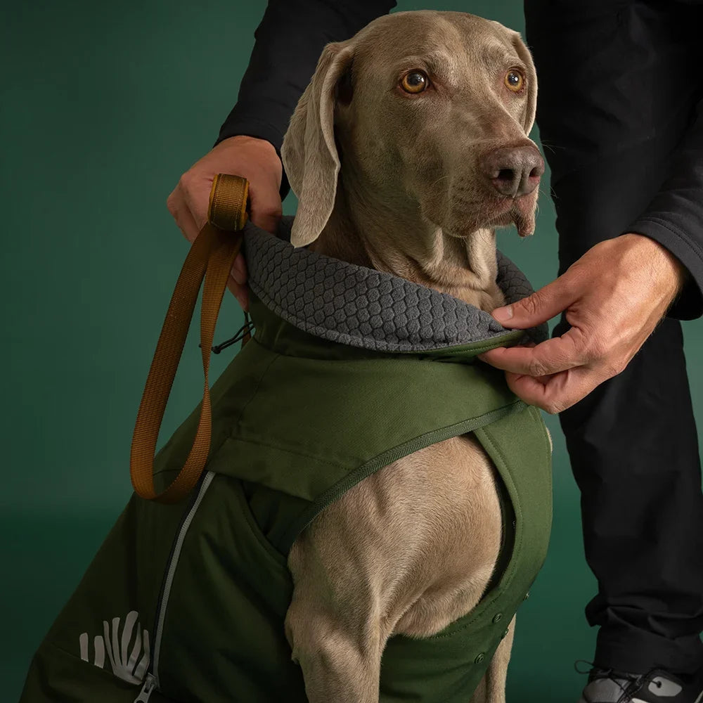 Walk All-Season – Hundejacke – zusätzliche Produktansicht 4