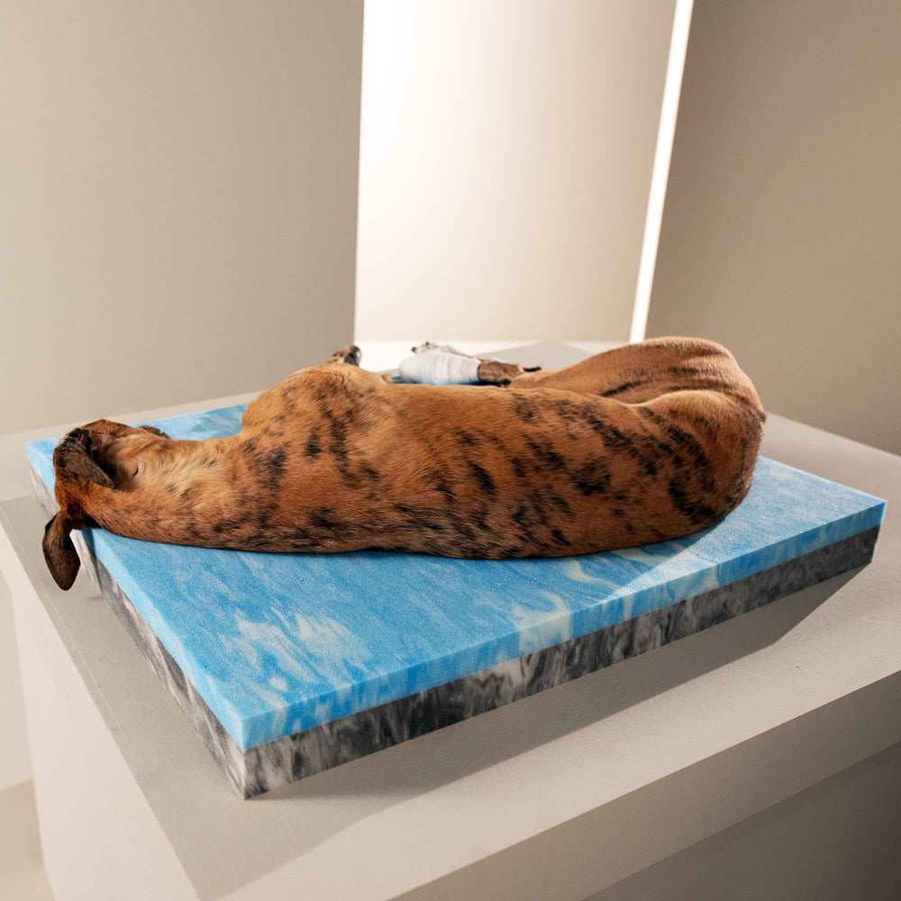 ALT-Text: Künstlerische Hundeskulptur mit gemustertem Fell auf blauem Hintergrund, präsentiert auf grauer Plattform für das ORTHO Hundebett BUFFALO.