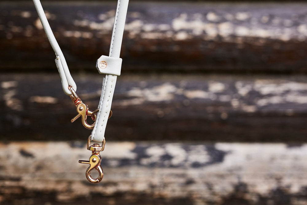 Stylische graue Lederleine mit goldenen Karabinern auf einer strukturierten Holzoberfläche.