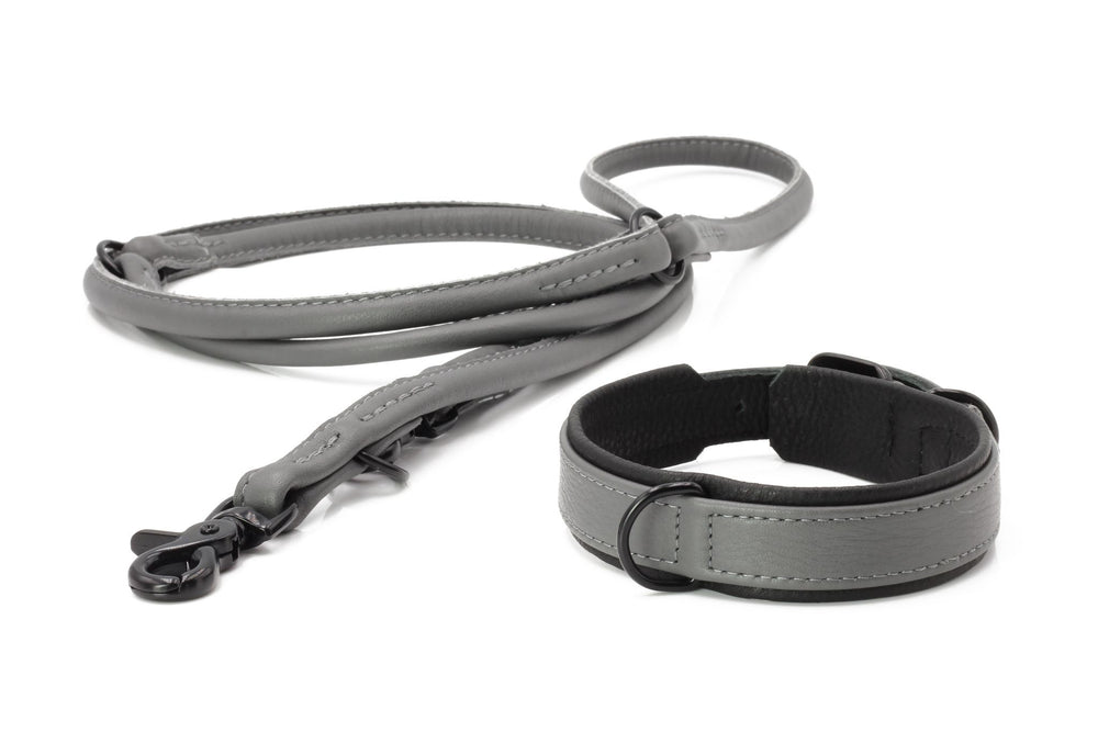 Stylishes Hundeleinen-Set in Grau mit gepolstertem Griff und Karabinerhaken für ein modisches Statement.