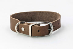 Klassisches braunes Lederhalsband mit silberner Metallschließe und verstellbaren Löchern für optimalen Tragekomfort.