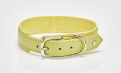 "Stilvolles hellgrünes Nappa-Halsband mit silberner Schnalle für modebewusste Hundefreunde."