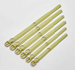 Stilvolles Nappa-Halsband von AMICI für Hunde, gelbe Leder-Riemen mit verstellbaren Metallbuckles auf weißem Hintergrund.