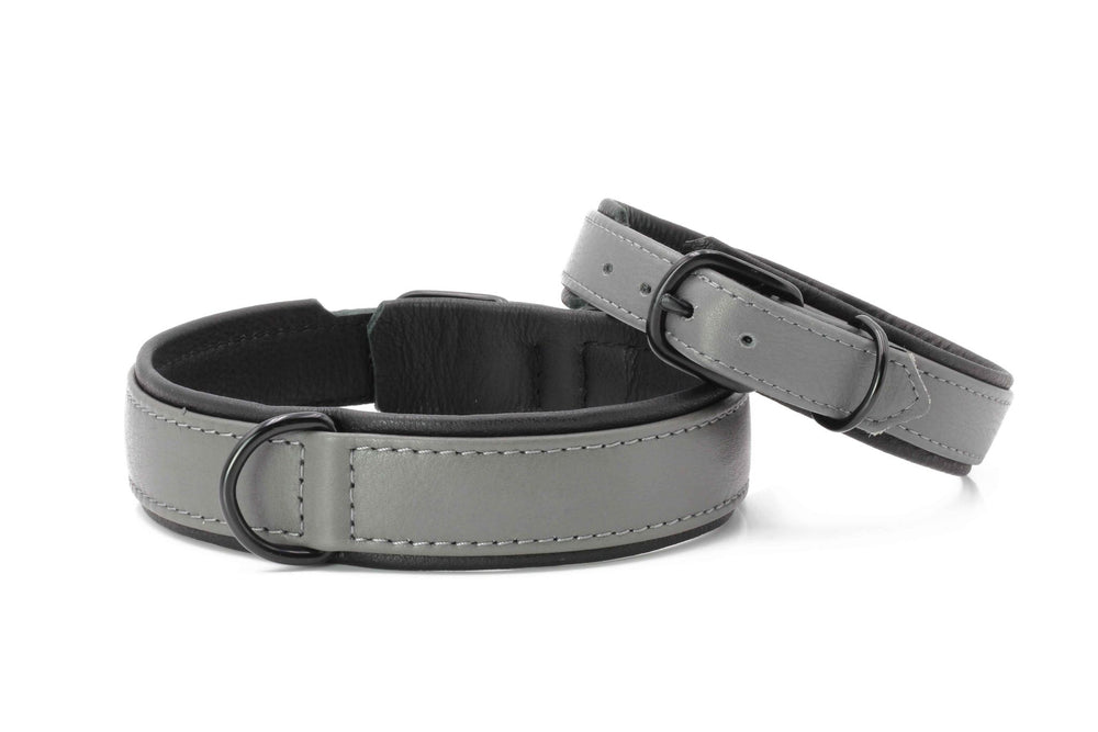 "AMICI Nappa-Halsband für Hunde in elegantem Grau mit D-Ring, ideal für stilbewusste Hundefreunde."
