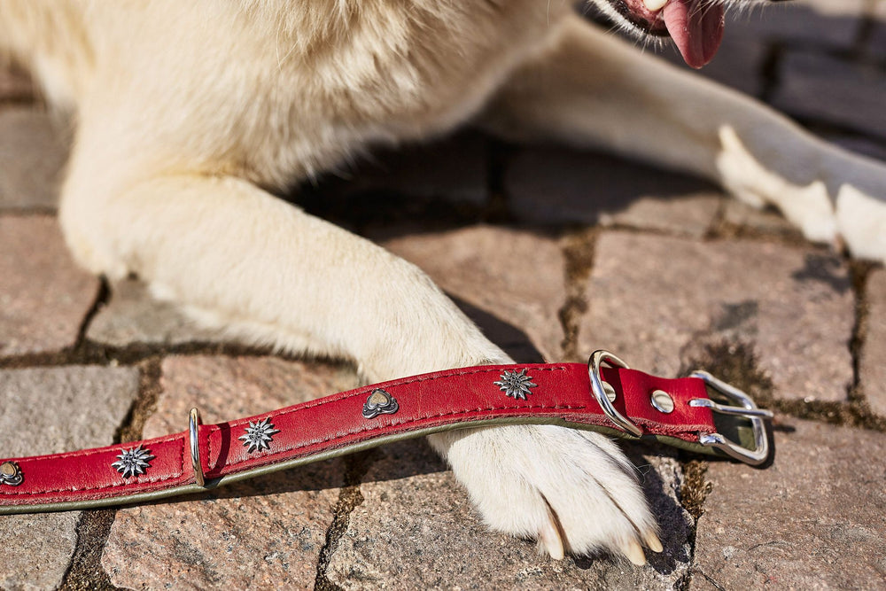 Elegantes rotes Hundeleine- und Halsband-Set mit metallischen Herz- und Sonne-Details auf Steinboden.