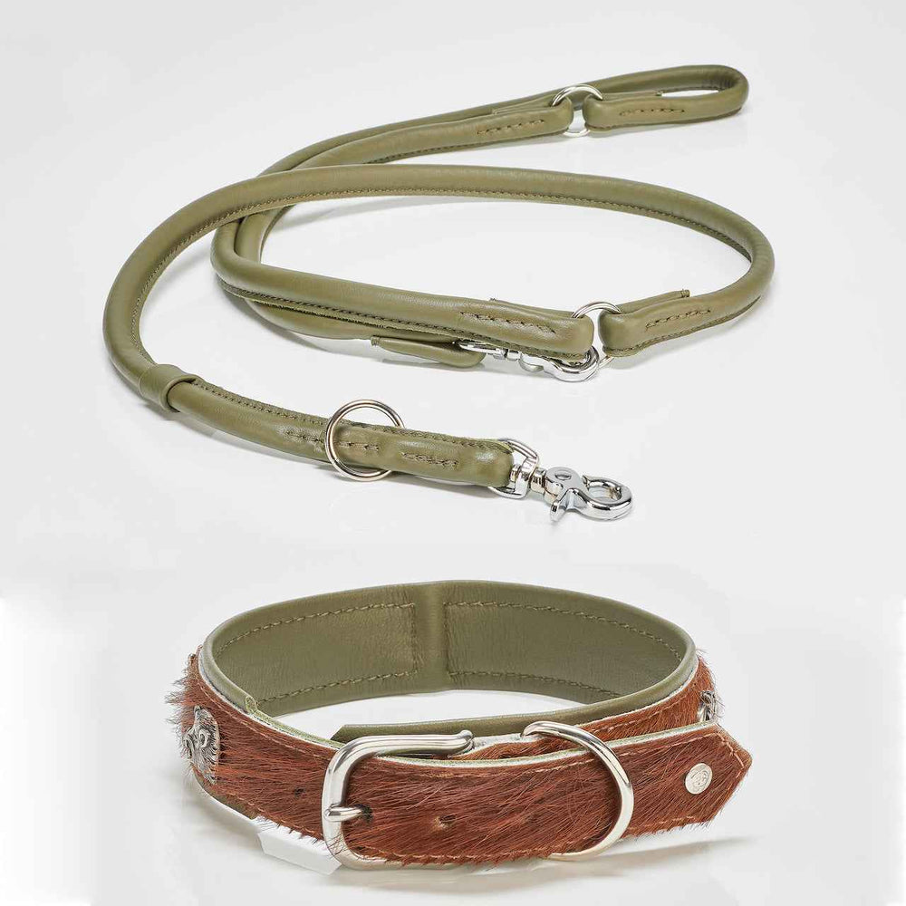 Exklusives Hundehalsband und Leine aus grünem Leder mit silbernen Beschlägen im aufregenden Material-Mix.