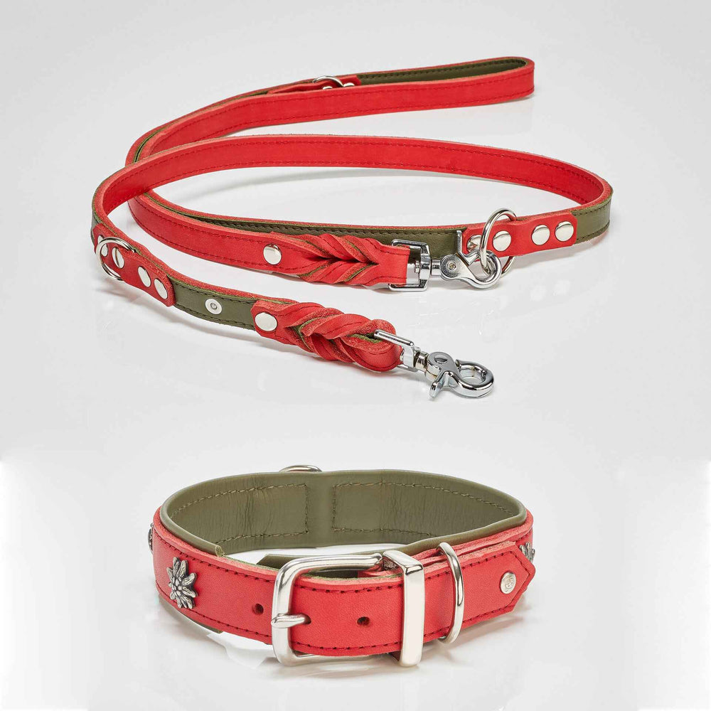 Elegantes Hundehalsband mit stylischer Leine in rot-grün, verziert mit Zopfdetails und Druckknöpfen.