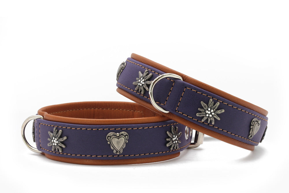 Zwei elegante Hundehalsbänder in lila und braun mit silbernen Blumen- und Herzverzierungen.