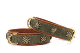 "Halsband Bergzauber in grünem Samt mit goldenen Verzierungen und brauner Lederinnenseite für stilvolle Hundeaccessoires."