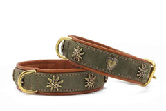 "Halsband Bergzauber in grünem Samt mit goldenen Verzierungen und brauner Lederinnenseite für stilvolle Hundeaccessoires."