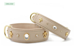 Stylische hellbeige Hundehalsbänder mit goldenen Verzierungen und glitzernden Steinen, breites Design für Hunde.
