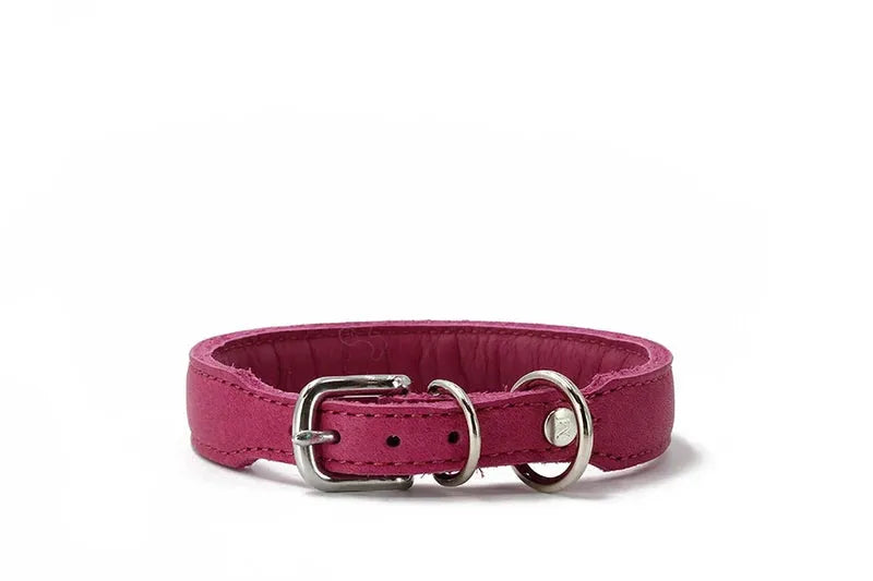 Gepolstertes pinkfarbenes Hundehalsband aus Leder mit metallener Schnalle und D-Ringen für optimalen Komfort.