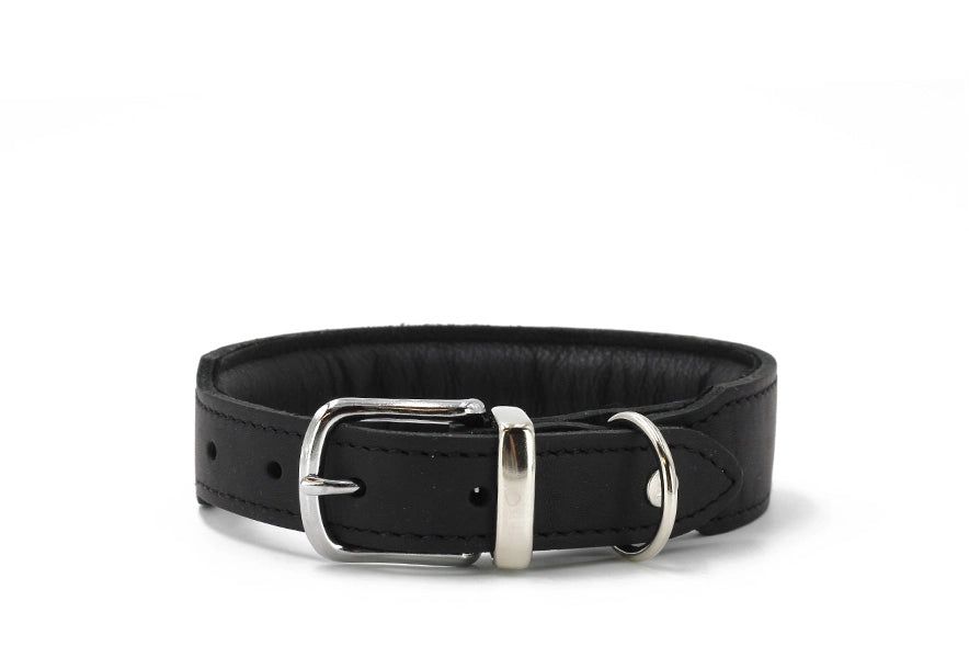 Schwarzes gepolstertes Halsband aus Leder mit silberner Schnalle und anpassbaren Löchern auf weißem Hintergrund.