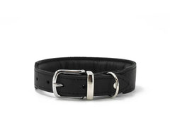 Schwarzes gepolstertes Halsband aus Leder mit silberner Schnalle und verstellbaren Löchern auf weißem Hintergrund.