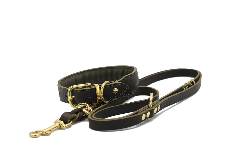 Braune Hundeleine aus Leder mit goldfarbenen Beschlägen und gepolsterter Schlaufe in der Herbst Edition.