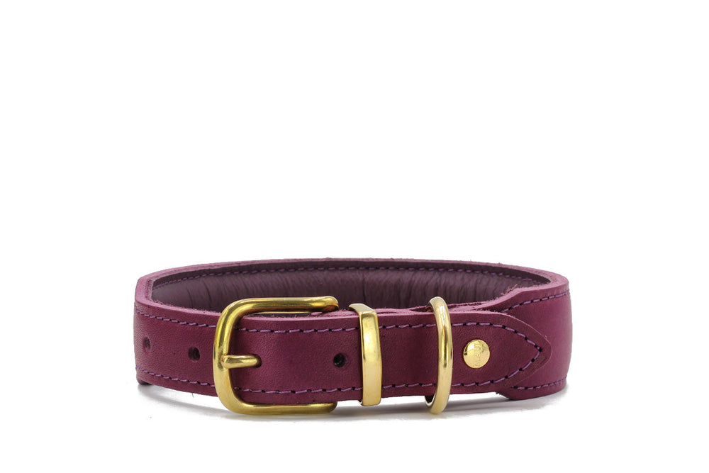 Violettes Lederhalsband für Hunde mit goldener Schnalle und eleganten Kontrastnähten, Herbst Edition.