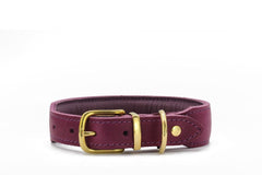 Violetter Lederhundehalsband Mono Pop Herbst Edition mit goldener Schnalle und abgesteppten Kanten.