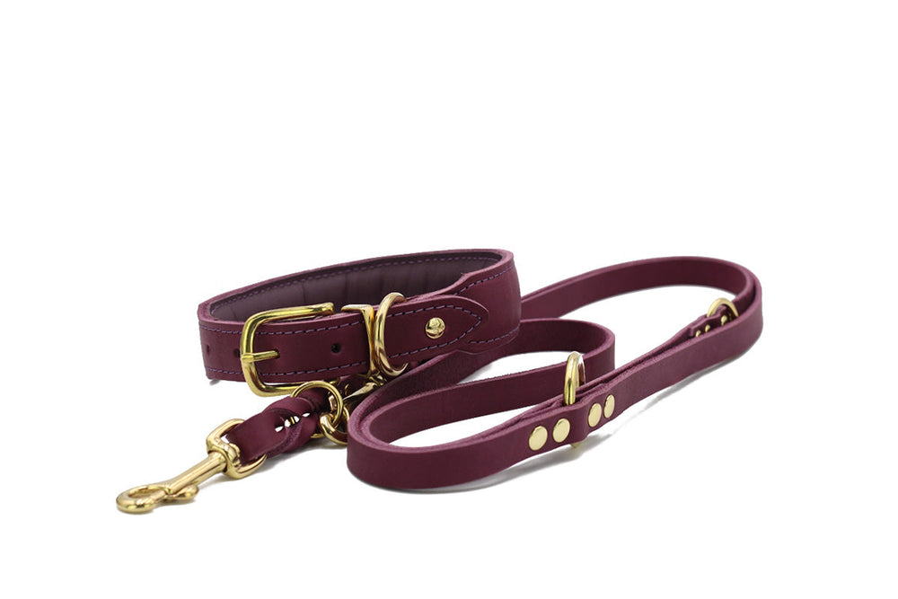 Halsband Mono Pop Herbst Edition in burgunderrot mit goldenen Metallelementen und Druckknöpfen für Hunde. Robustes Material.