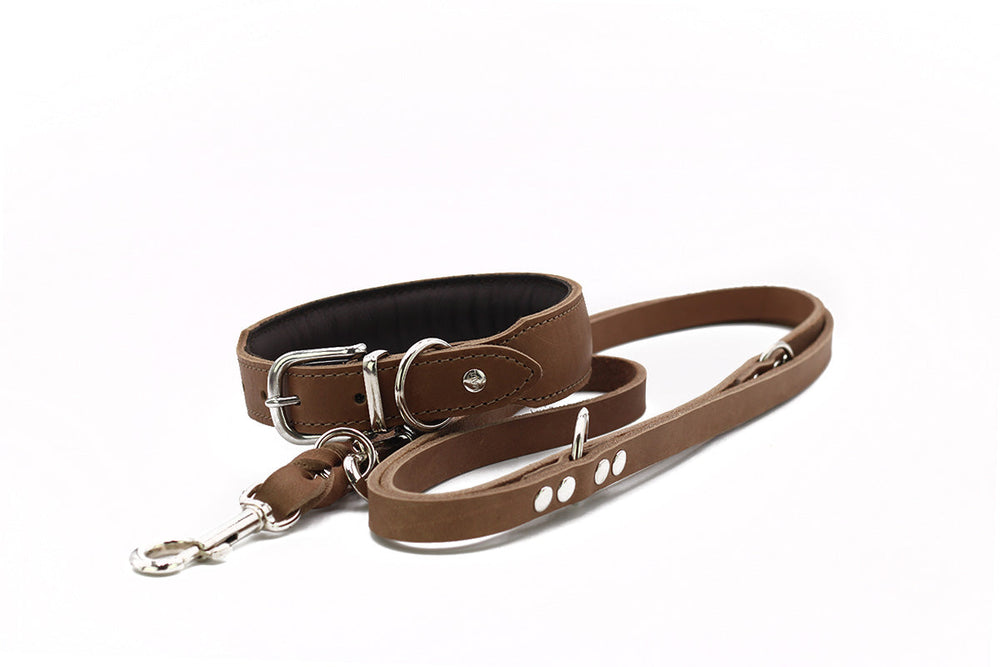 Braune Lederhundeleine, schmal und gepolstert, mit Karabinerhaken für Geschirr oder Halsband, Herbst Edition.