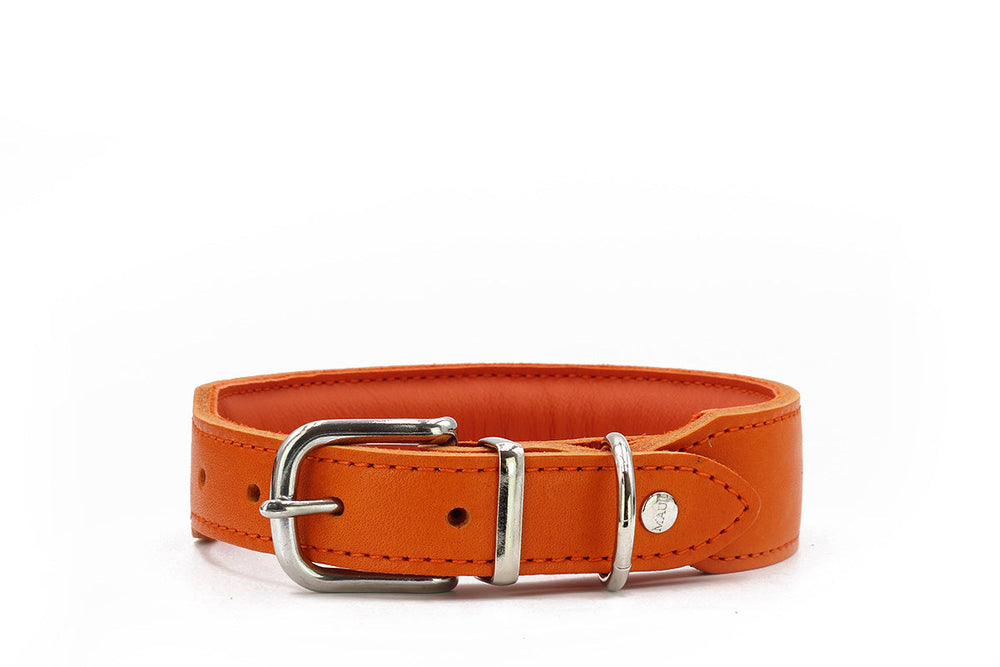 Oranges Lederhalsband Mono Pop Herbst Edition mit silberner Schnalle und eleganter Textur auf weißem Hintergrund.