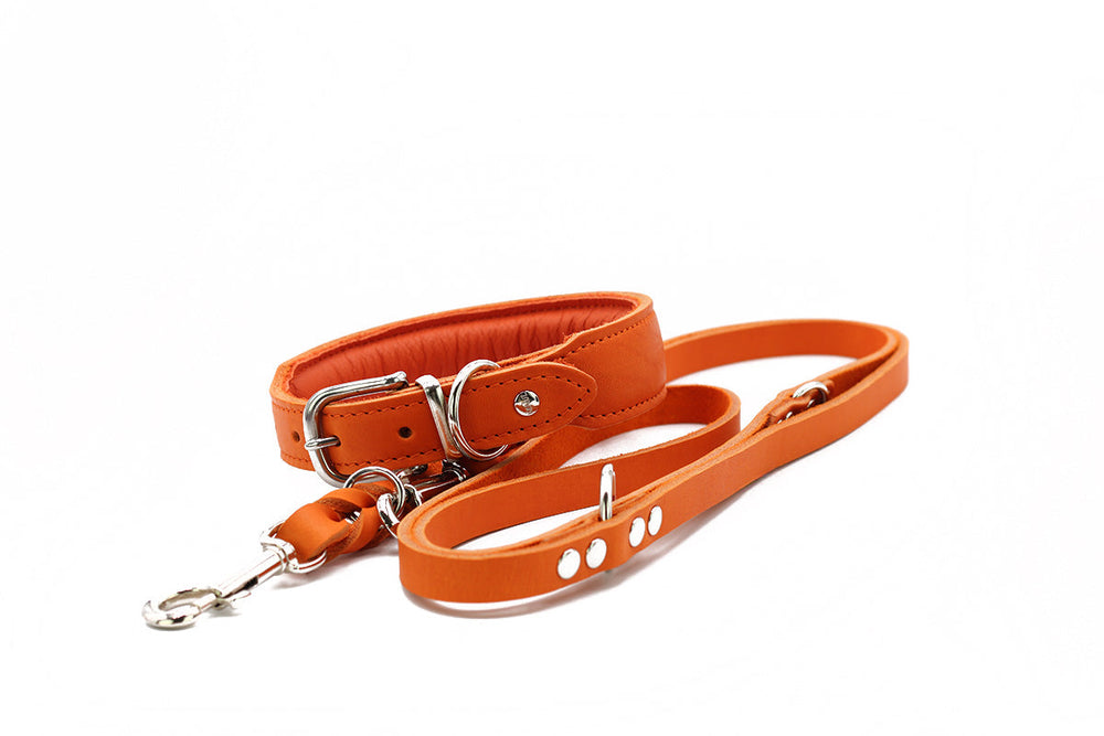 Orangefarbene Lederhundeleine mit Metallkarabiner und verstellbaren Druckknöpfen in der Herbst Edition.