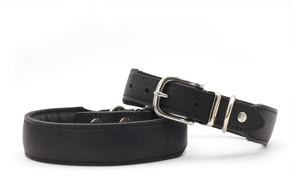 Schwarzes Lederhalsband Mono Pop mit silberner Schnalle in der Herbst Edition, auf weißem Hintergrund.